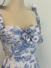 Alice Kleid